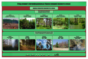 Стенд-планшет электрифицированный «Оценка пожарной опасности в лесах»  - fgospostavki.ru - Нижневартовск
