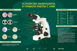 Электрифицированный стенд "Устройство микроскопа и правила работы c ним" - fgospostavki.ru - Нижневартовск