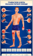 Электрифицированный стенд-тренажер "Травматизм и меры оказания первой помощи" - fgospostavki.ru - Нижневартовск