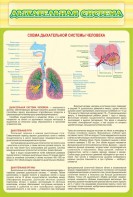 Стенд "Дыхательная система" - fgospostavki.ru - Нижневартовск