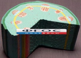 Модель "Стебель растения" - fgospostavki.ru - Нижневартовск