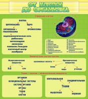 Стенд "От клетки до организма" - fgospostavki.ru - Нижневартовск