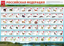 Стенд "Красная книга РФ" - fgospostavki.ru - Нижневартовск
