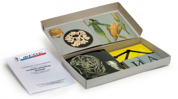 Модель-аппликация "Основные направления эволюции" (набор из 33 карт) - fgospostavki.ru - Нижневартовск