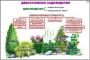 Комплект кодотранспарантов "Культурные растения" - fgospostavki.ru - Нижневартовск