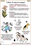 Комплект кодотранспарантов "Ядовитые растения" - fgospostavki.ru - Нижневартовск