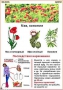 Комплект кодотранспарантов "Ядовитые растения" - fgospostavki.ru - Нижневартовск